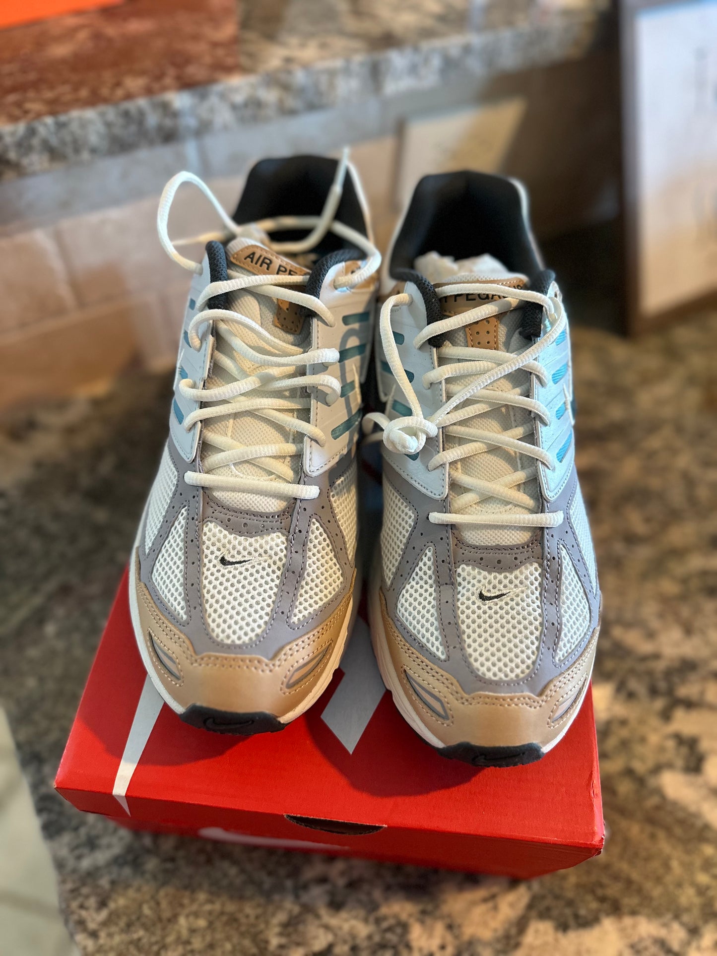 Nike Air Pegasus 2005